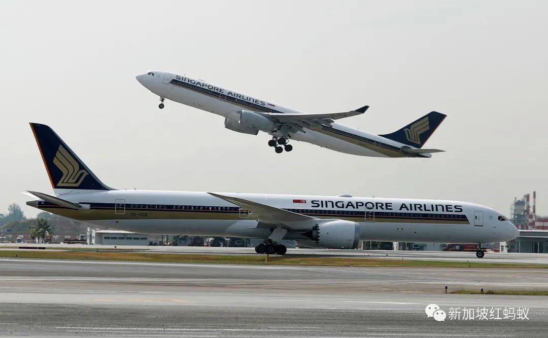 新加坡手上有好牌，逐步和低风险地区开展“泡泡”其实没那么可怕