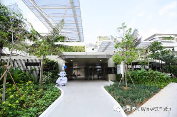 新加坡國際學校留學——幼兒園