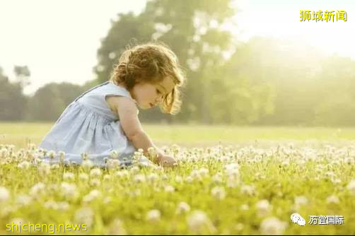 新加坡的生育率這麽低,國家鼓勵生娃竟然補貼這麽多錢