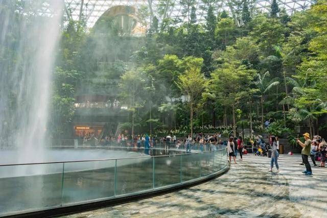 新加坡人对绿色有多着迷?公交车顶种草,大楼里植树,实在绝了