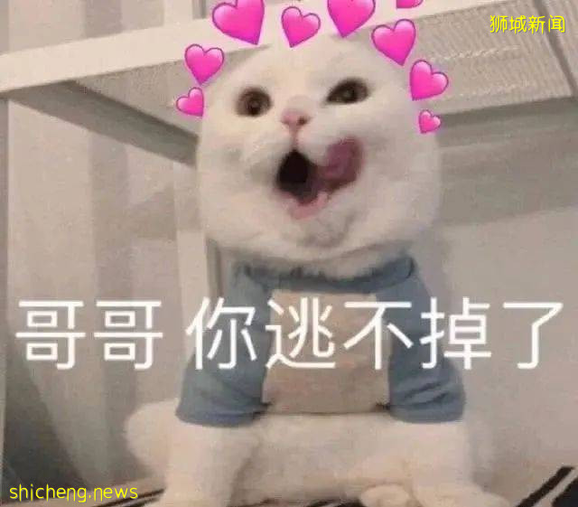 林俊傑“強奸吸毒”的瓜如果是真的,“逃”回新加坡的他或將受到鞭刑