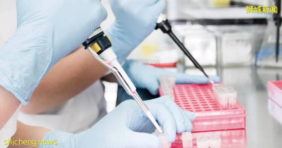 療養院也禁止探訪!新加坡現存活躍感染群45個