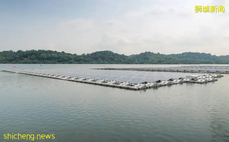 厉害了，我的国！新加坡首个大型浮体光伏项目启用 中企总承包建设