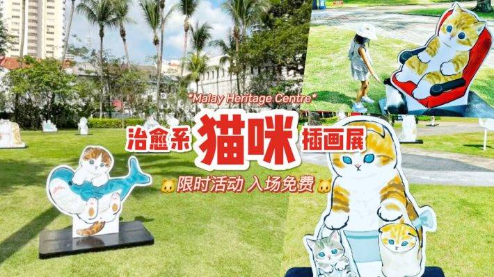 免费展出🎊最新猫咪艺术展限时登场+可爱放送🐱 日本插画家原创作品，青青草坪增添软萌气息