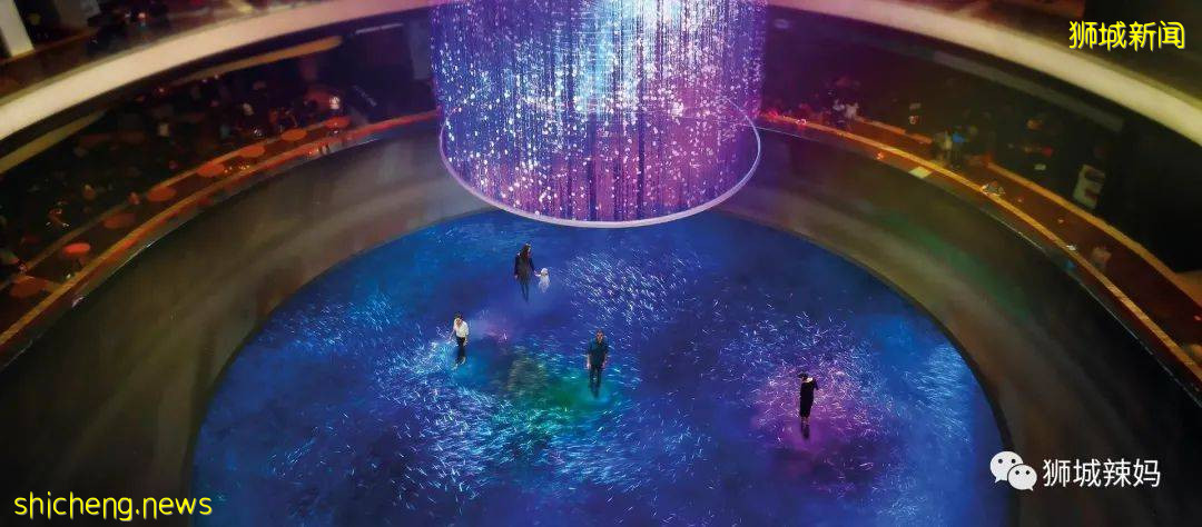 限2周!新加坡濱海灣金沙燈光秀國慶特別版,僅5新哦