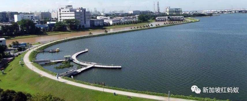 小小的新加坡竟有17個水庫　一個比一個清幽秀麗