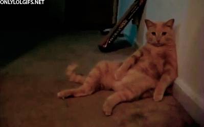 “在新加坡打新冠疫苗，真不该听我妈的！干了这事，把医生看傻了~”