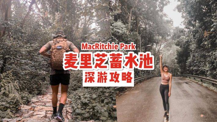 新加坡“麥裏芝蓄水池 MacRitchie Reservoir”深度遊！自然仙境、徒步指南、周邊活動逐個看
