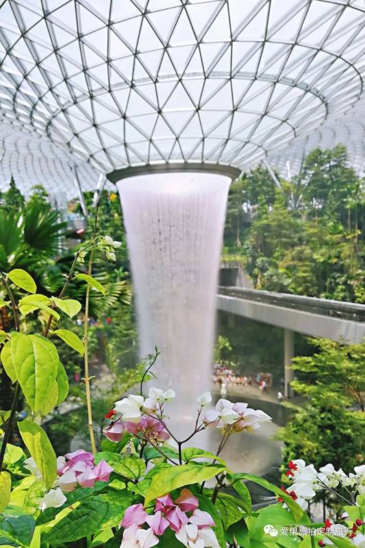 【永遠夏天的星島】還有多久才能去旅行?新加坡先預熱打卡