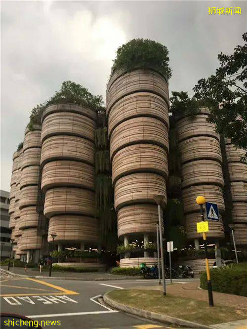 學生宿舍難申請？新加坡留學新生租房攻略，看起來