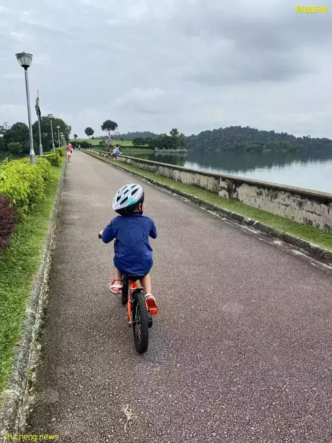 新加坡親子騎行的快樂~剛冒頭的蘑菇、曬太陽的大蜥蜴、嬉鬧打滾的水獺