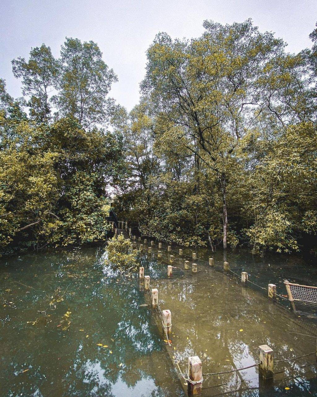 秘密景区!新加坡8座遗忘的角落🌂 徒步旅行好去处!消失的水库、战争遗物、遗弃古迹