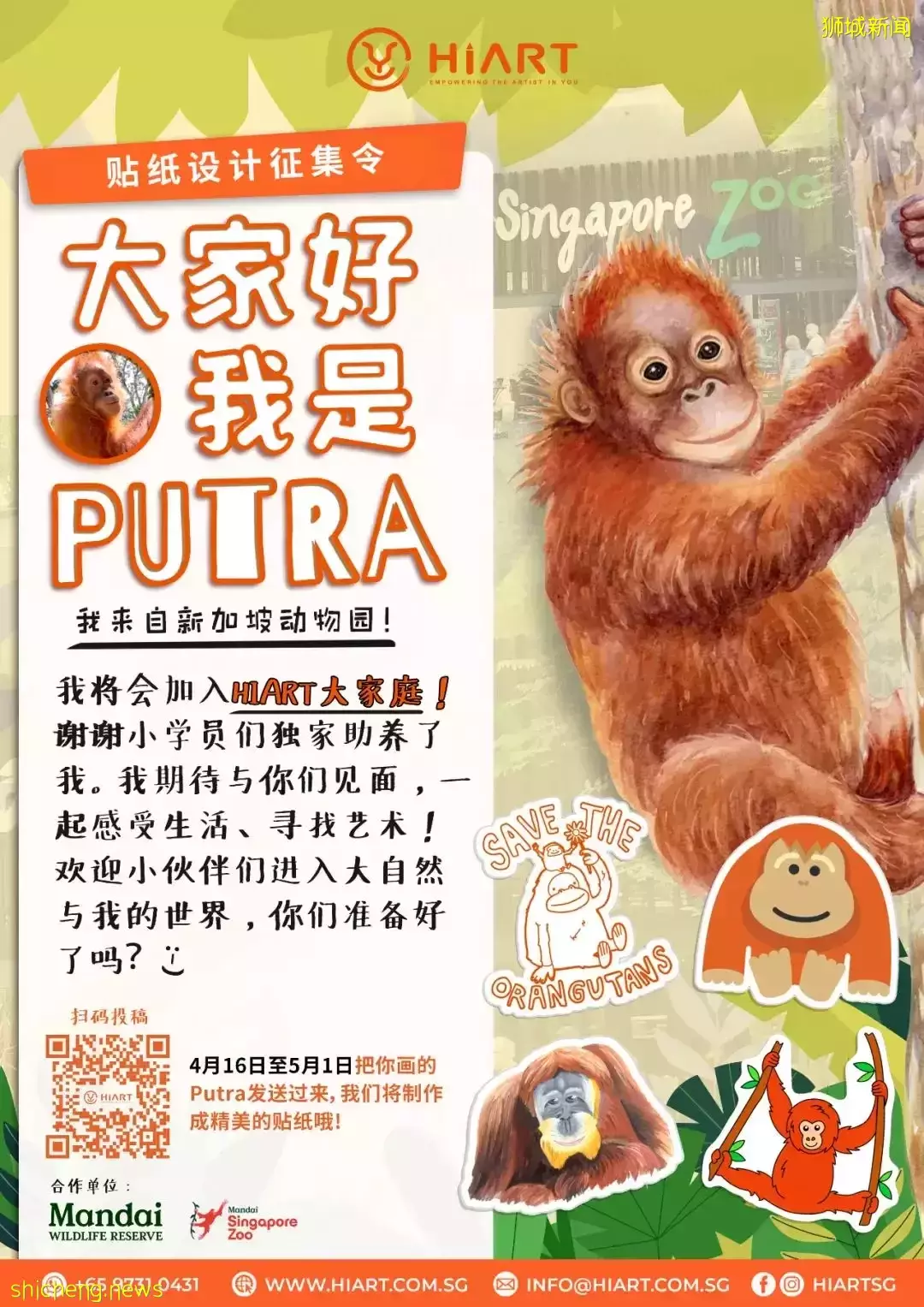 僅$99!做猩猩助養員、近距離寫生,在新加坡竟然有這麽有意義的假期營