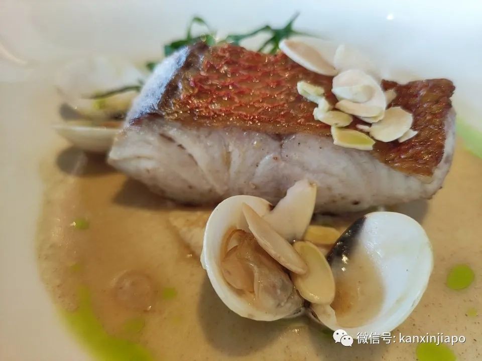 金沙10周年，新增了这么多圣诞打卡地点！