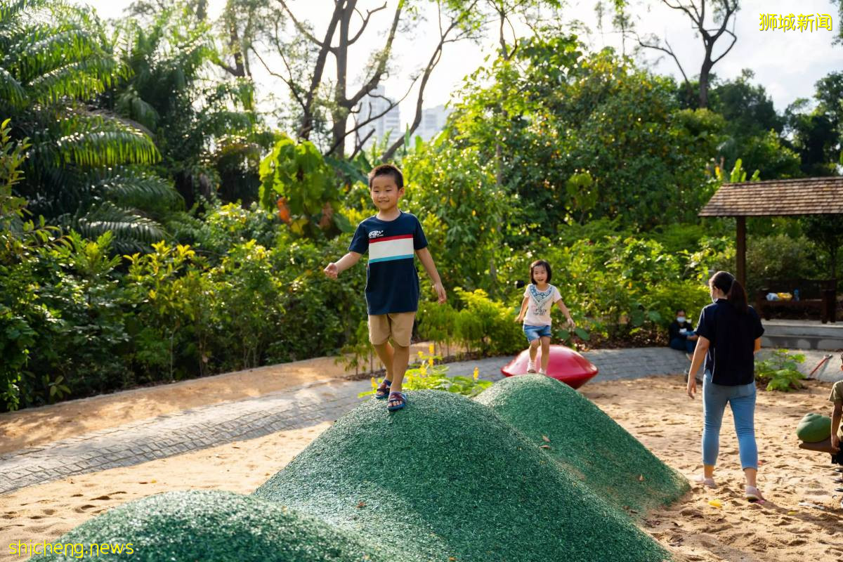 叢林遊樂場、自然博物館、山路徒步……新加坡這個公園翻新後更好玩啦