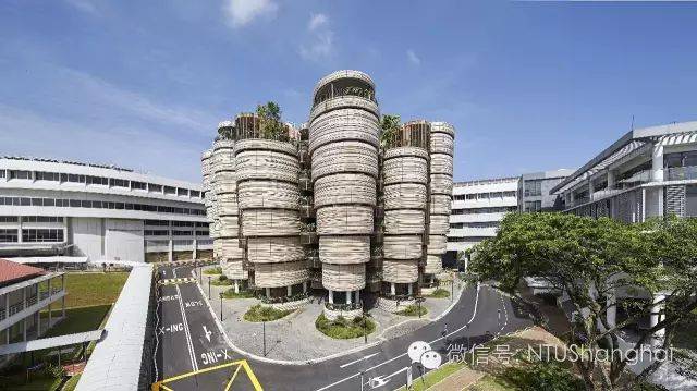 NTU招生 A Level 和 IB課程的學生如何申請新加坡南洋理工大學