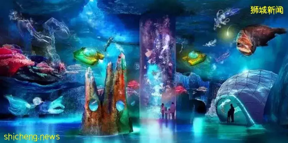 亚洲首个可“滑雪”滑水滑板场馆登陆新加坡!S.E.A海洋馆又迎全面升级