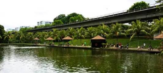 新加坡國民娛樂項目，養生釣蝦約不約？！盤點新加坡好玩的釣蝦場，周末走起吧