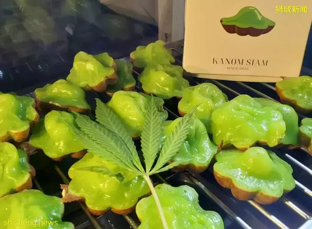 李顯龍總理：不會將毒品合法化 ！多國毒販被鞭刑、處死，求情被拒！新加坡毒販曾弑母殺女