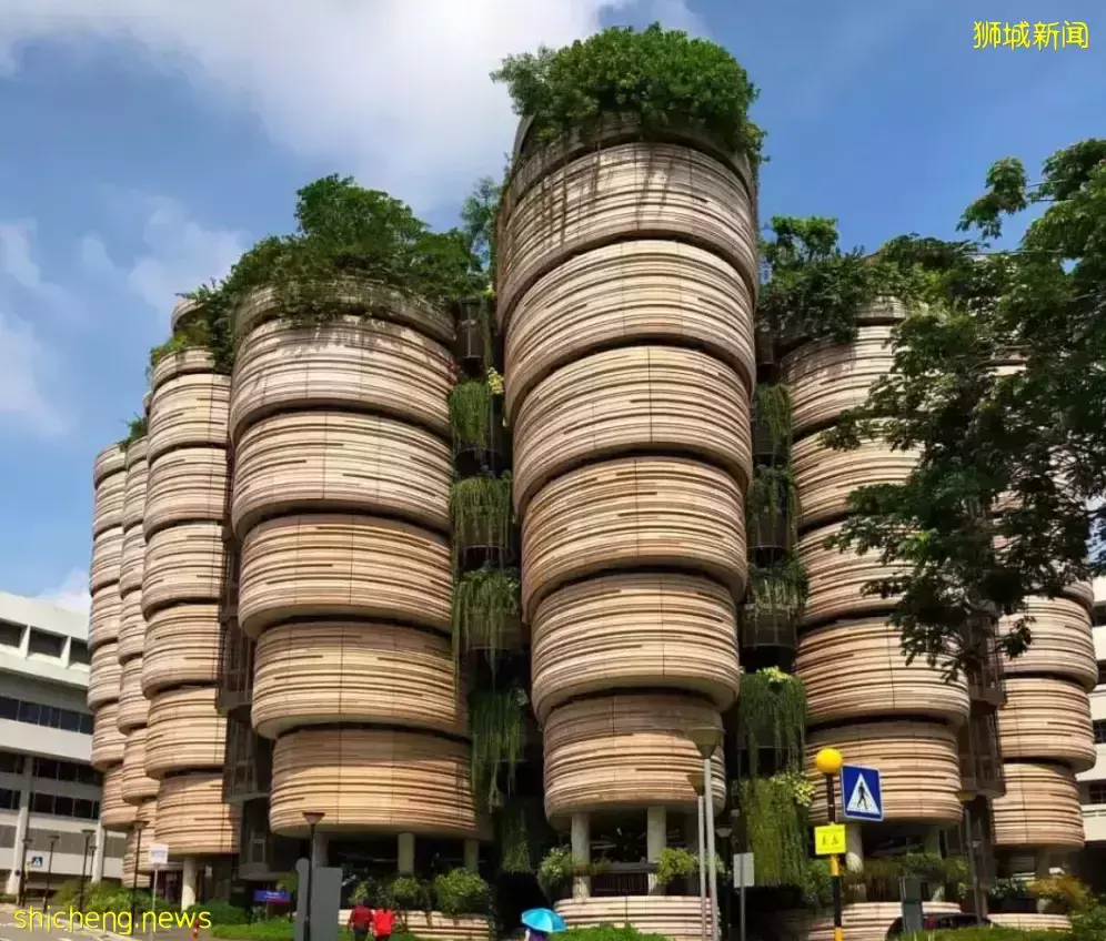 几十张图带你了解别样的新加坡