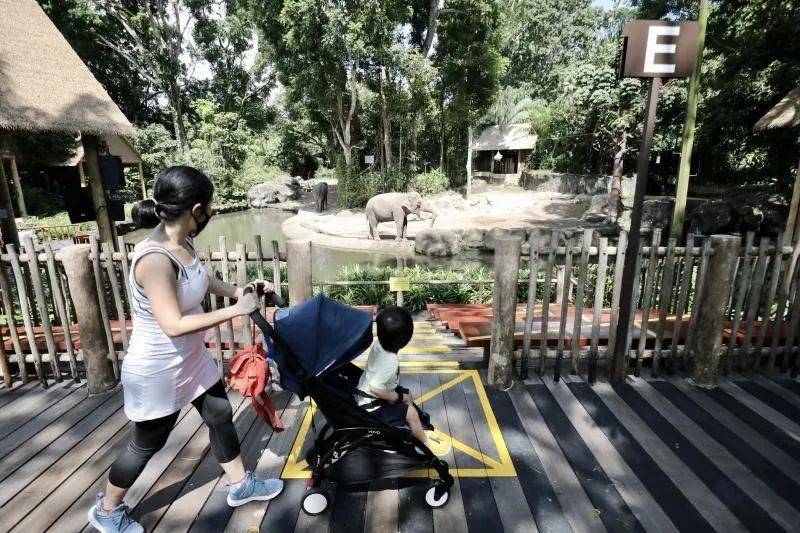 新加坡将在保证公众安全前提下恢复经济活动，拟推四大策略安全重启经济