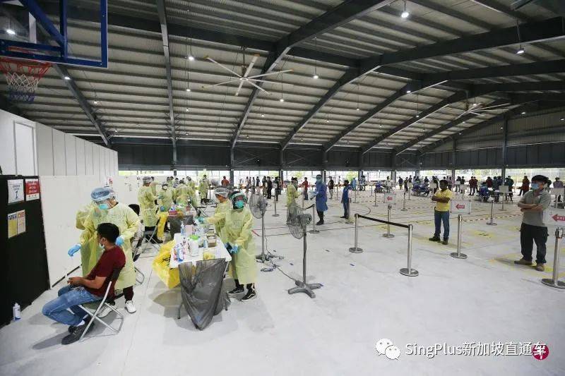 新加坡核酸檢測降價有望？坡島人民喜大普奔