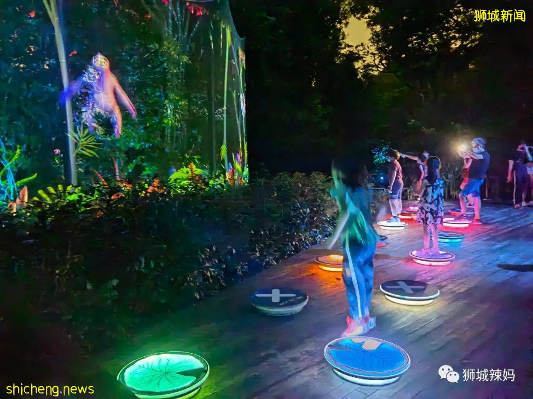 低至S$8！就3天！新加坡動物園“幻光雨林之夜”強勢回歸，亞洲第一夜遊體驗