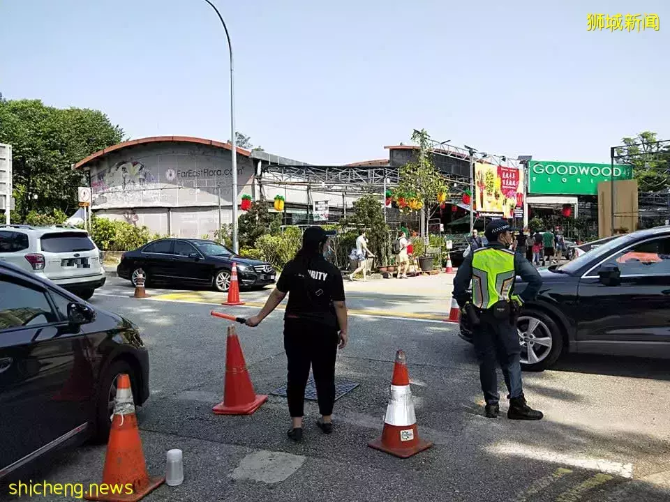 “疫情間過年沒事做” 就逛花市 湯申路花圃現新客源