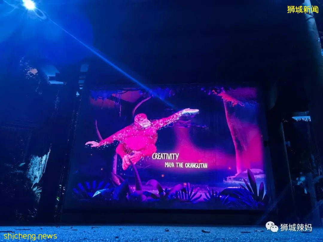 低至S$8！就3天！新加坡動物園“幻光雨林之夜”強勢回歸，亞洲第一夜遊體驗