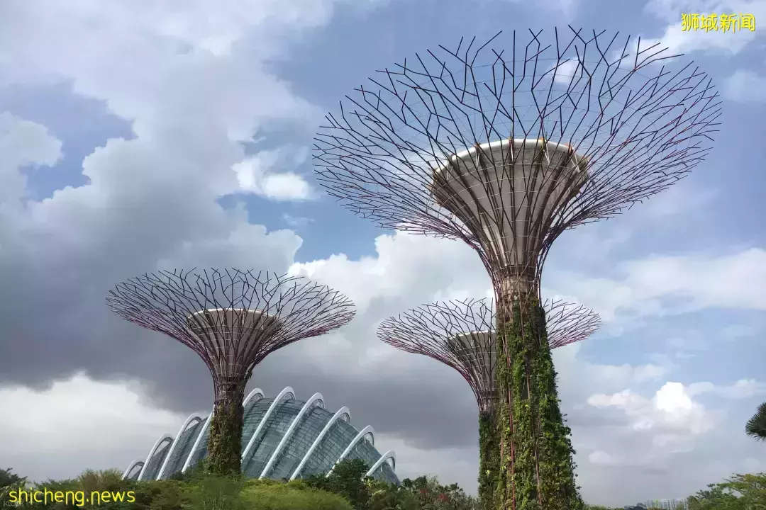 穿越了!边画画边喝咖啡,在新加坡体验欧洲艺术High Tea