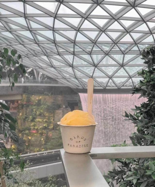 新加坡樟宜机场，让你不用再担心中转候机的痛苦