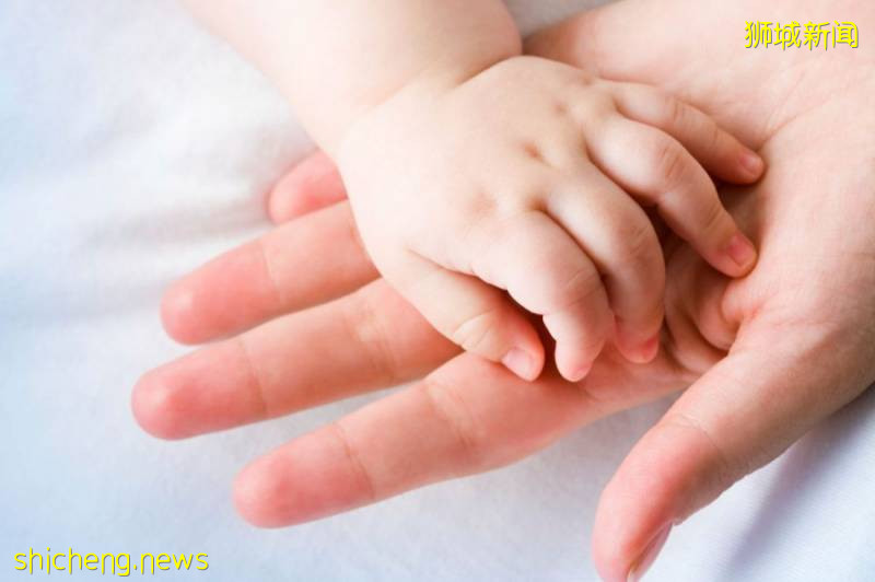 新加坡能否减少对劳工的依赖?专家观点:比例取得平衡才是关键