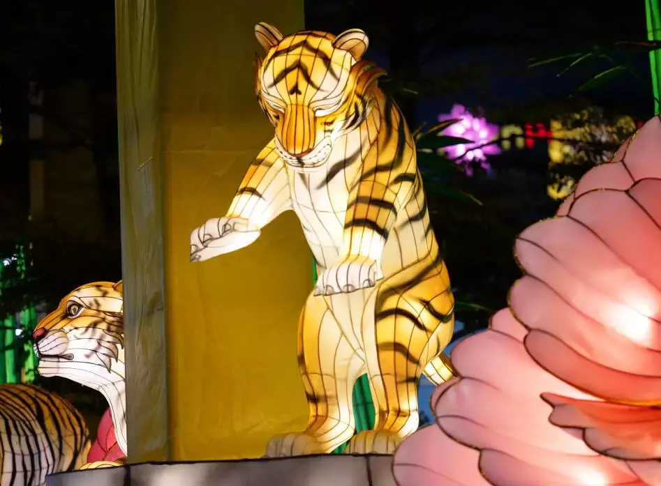 新加坡今年的“虎”點“彪”,居然“妩媚”地對我笑