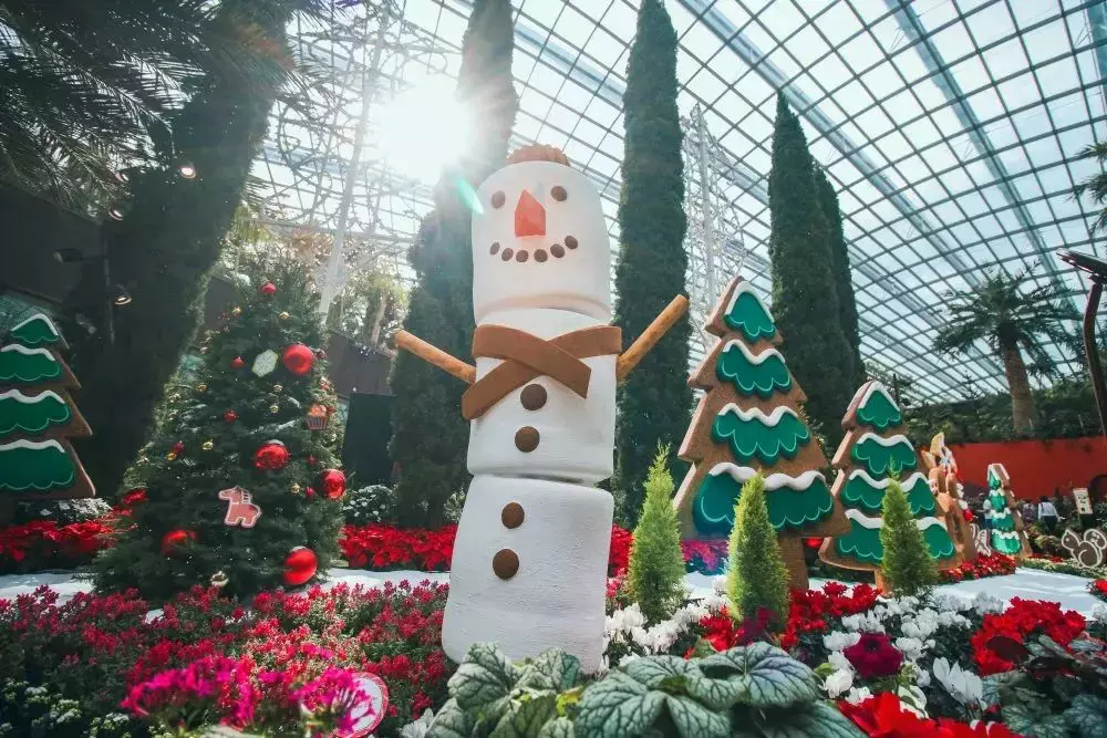 8米摩天轮、巨型糖果手杖、苹果圣诞马车...新加坡滨海湾花园变身圣诞村