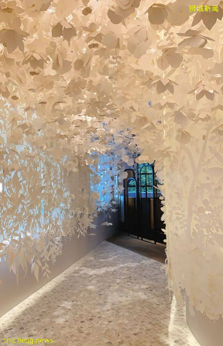 探店 如果堂食只可以选一个地方,我推荐这里