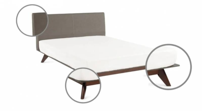 新加坡一成不變的夏天裏，我的家卻充滿新鮮感