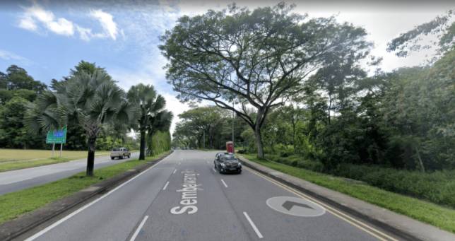 爆赞!新加坡10条最美巴士线路,花最少的钱玩遍全岛