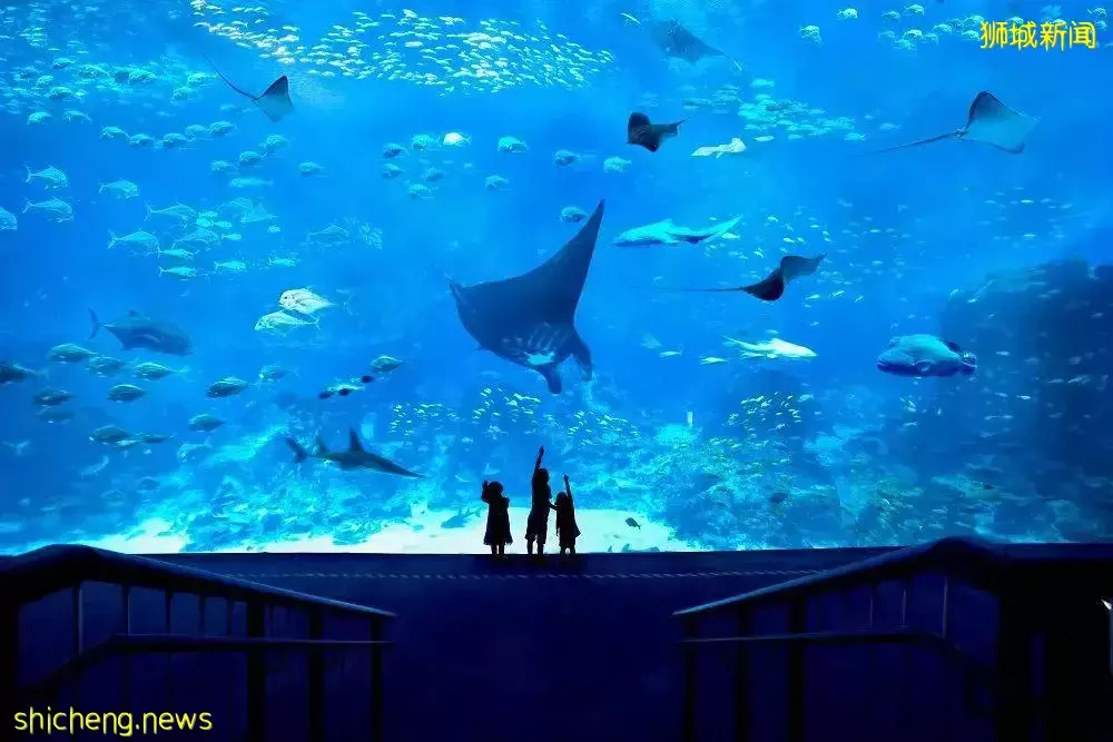 六一去哪儿玩,盘点新加坡亲子游景点攻略