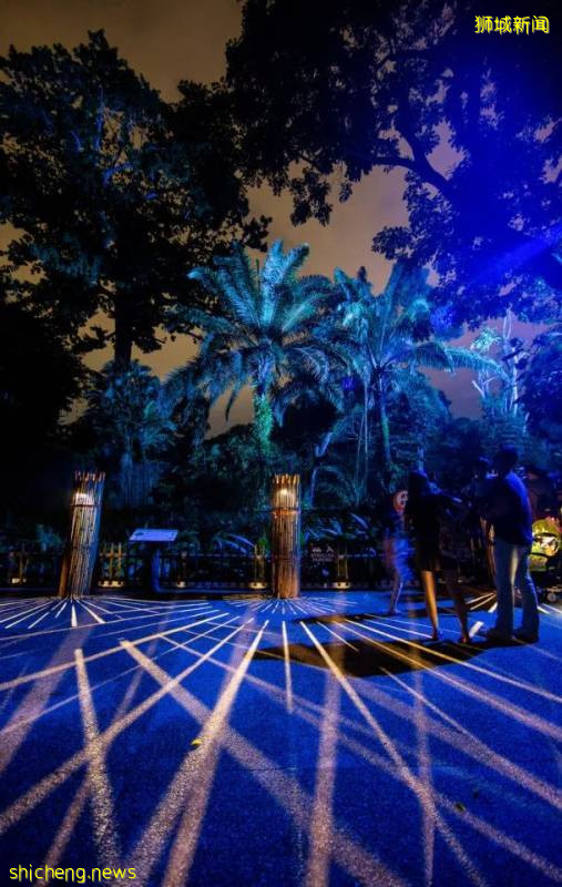 新加坡動物園沉浸式多媒體夜行體驗“RAINFOREST LUMINA”|CAAPA周末分享!
