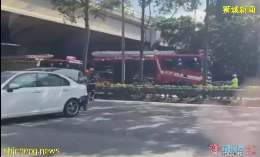 新加坡再发连环车祸,八九人送医救治