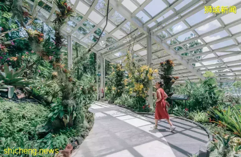 戶外徒步新去處！新加坡新開的7個公園你都遛過了沒