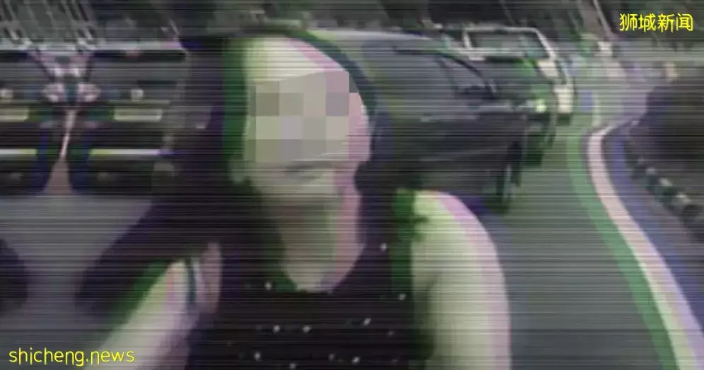 肉身擋車 休旅車司機兒子促請網民 “放婦女一馬,停止惡搞照片”