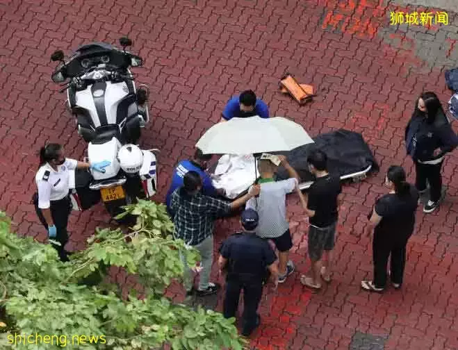 放工回家 卷倾斗罗厘车底  钟点工阿嬷不治 司机被捕 