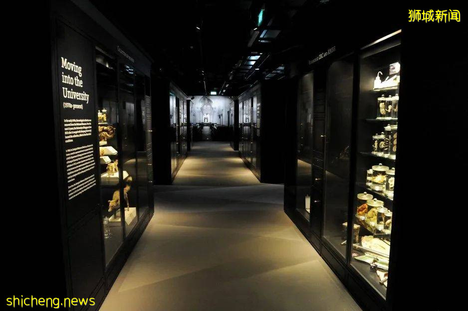 新加坡國慶節折扣來啦!旅行景點折扣和餐飲代金券總有一款適合你