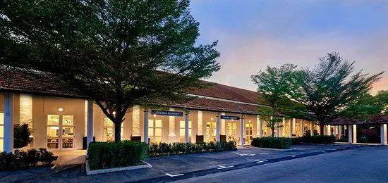 周末去哪兒？最美小山坡走起