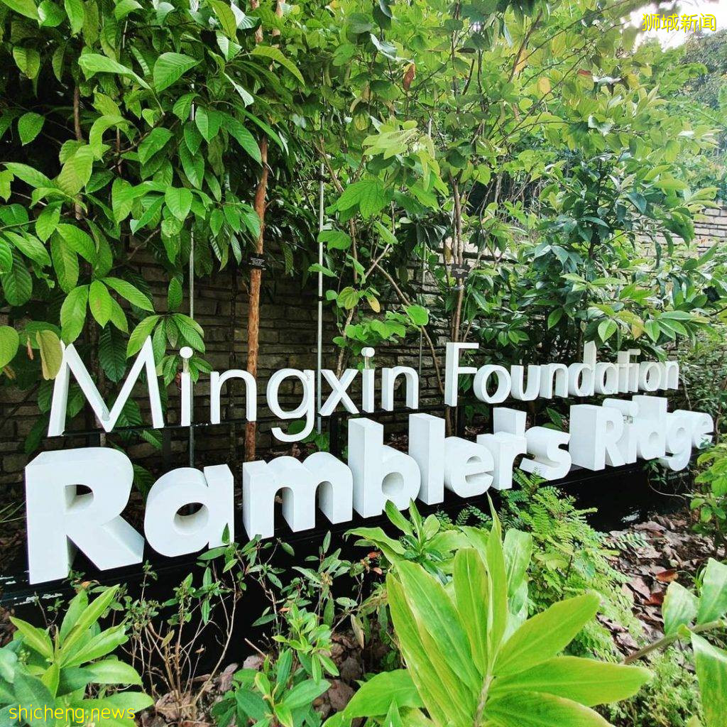 植物園Gallop Extension攻略🌳山脊小徑+戶外遊樂設施+森林探秘館+藝術畫廊、走進大自然