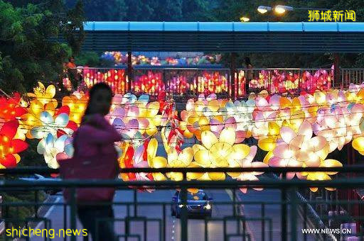 昨晚,新加坡牛车水中秋亮灯!“嫦娥好看得像整过容……”