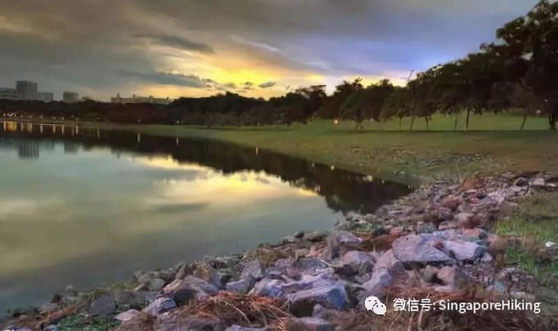 12月03日周二夜徒：勿洛蓄水池环线 Bedok Reservoir Loop