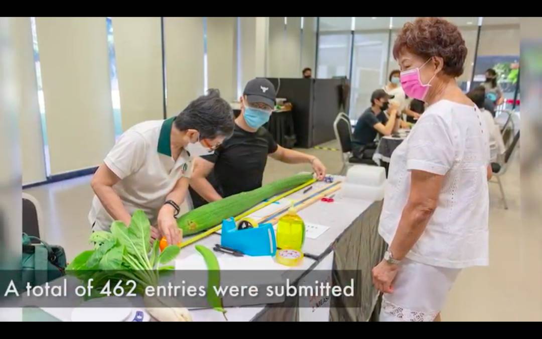 听说你周末又不知道去哪里玩了