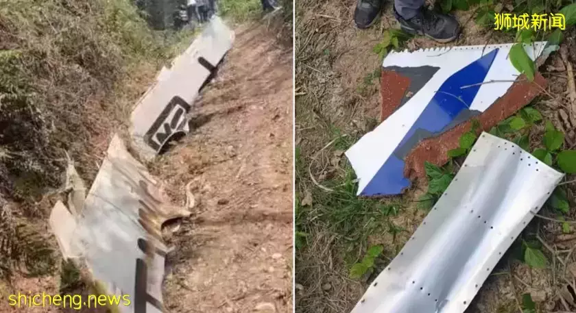 新加坡:未有新加坡人在失事的东航客机上